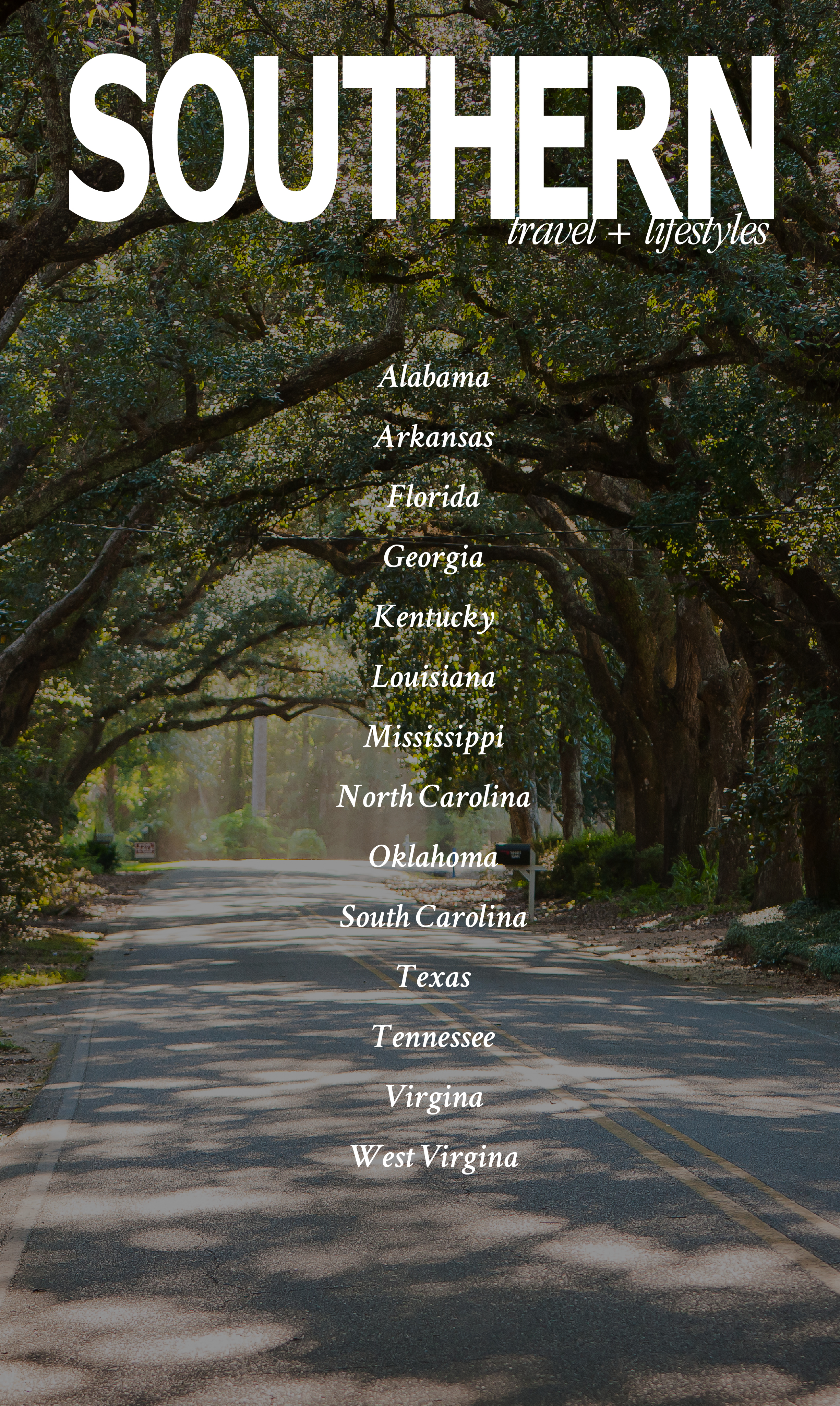 Southern Banner Ad.jpg
